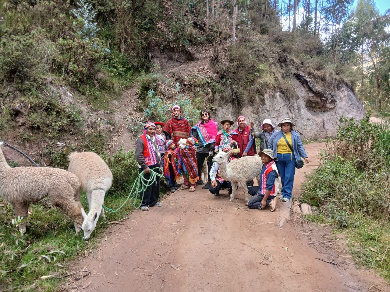 Grupo completo com lhamas no caminho até a comunidade de Kallarayan (Qallarayan)