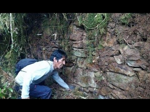 Guide examining the stone wall covered in vegetation